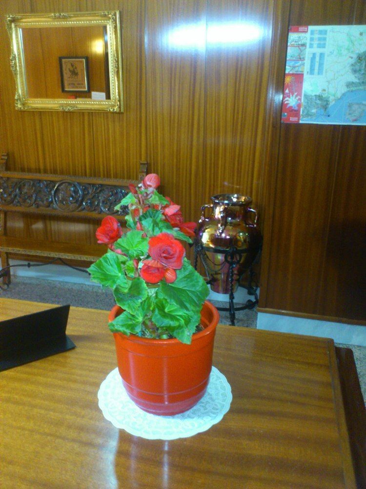 Hotel Royal 2*